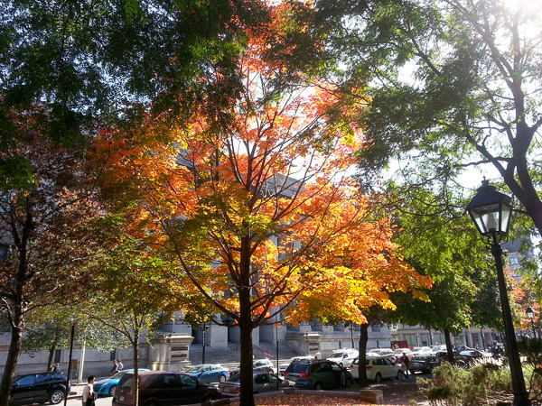 Montreal, Quebec, Canada